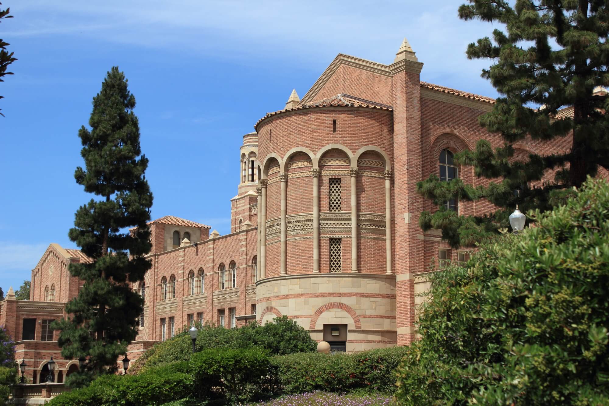 90smade in USA カリフォルニア大学ロサンゼルス校UCLA カレッジ