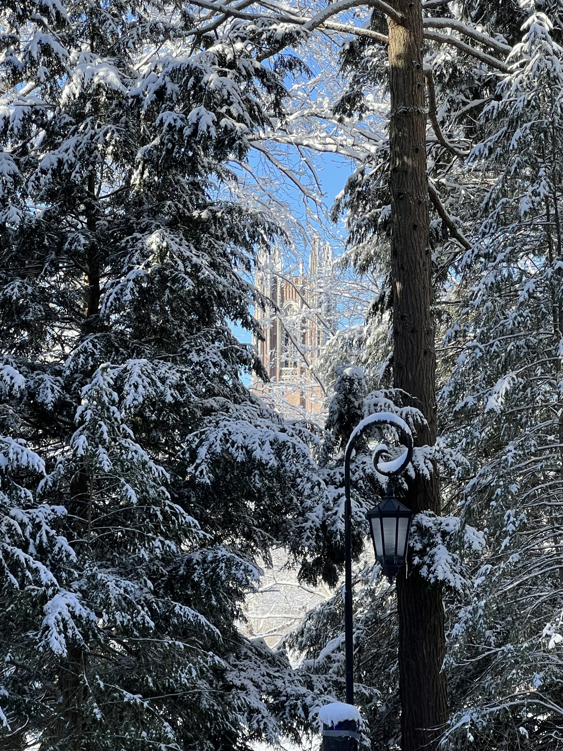 ウェルズリーカレッジの雪景色